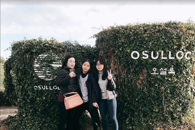 Jeju Island Taxi Tour - West Day Tour - Your Day Plan in Plain Terms (Itinerary A or B)