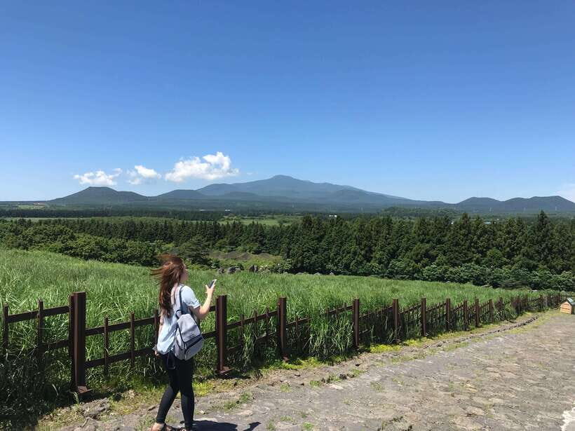 Jeju Island: Van Tour with a Guide Who Most Loves Jeju - Getting oriented at Jeongbang Waterfall before the bigger sights