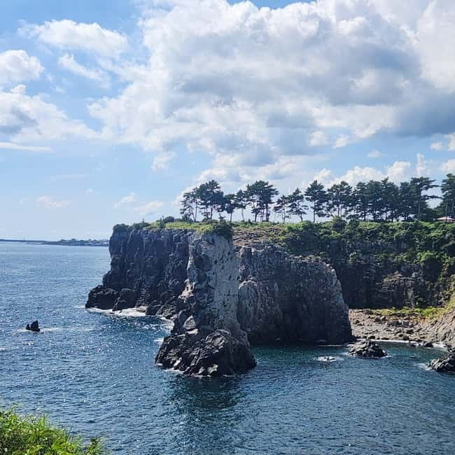 Jeju island : West & South Full-Day Tour - First stop energy: Hallasan’s 1100 Highland and the Ramsar wetland walk