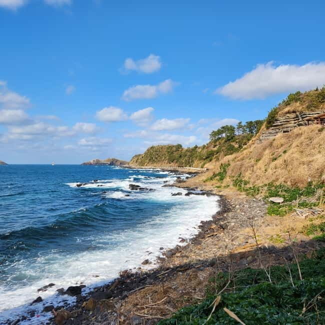 Jeju: Popular Sightseeing Private Car Charter Tour - Private car comfort in Jeju: why 9 hours can feel like a full vacation day