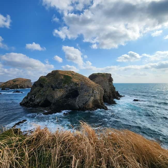 Jeju: Popular Sightseeing Private Car Charter Tour - South hiking style: Mt. Halla zones, columnar cliffs, waterfalls, and Yongmeori Coast