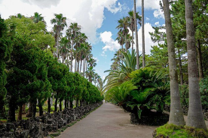 Jeju Premium Small Group UNESCO Day Tour - West Course - Stop 2: 신엄리 해안도로 (Sin-eomri Coastal Road)