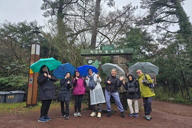 Jeju Private Half-Day Tour for Cruise Customers - Key highlights worth your attention