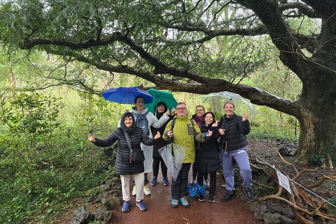 Jeju Private Half-Day Tour for Cruise Customers - Why the East Coast Works So Well for Cruise Time