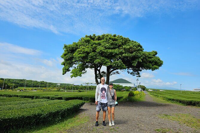 Jeju Private Tour Package-South of Jeju(Mt.Hallasan & Waterfalls) - Yongmeori Coast: dragon-head coastline at walking level