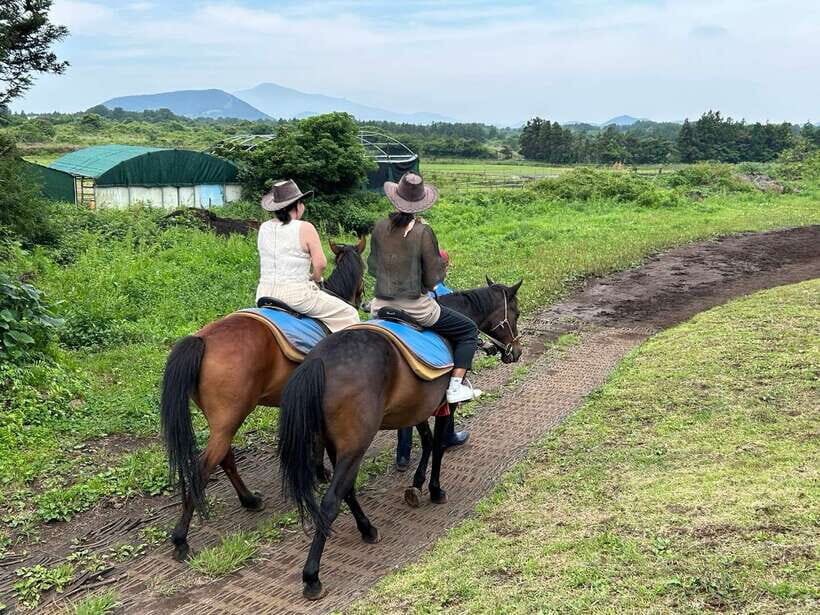 Jeju: Private Tour with an English Guide and a Vehicle - Coastal road time: Waljeung or Sehwa beach, plus a nature alternative