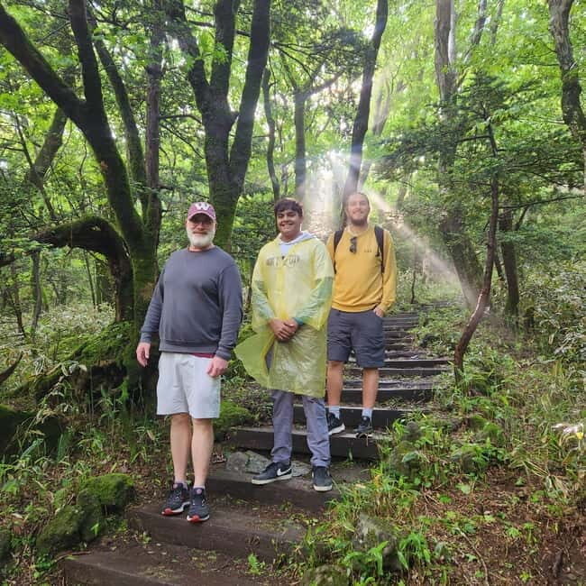 Jeju Southern: Mt.Hallasan and UNESCO Geopark Bus Tour - O’sulloc Green Tea Museum: tea tasting with scenery