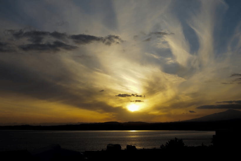 Jeju Sunset Tour : Olle Trail half day tour - Guides: what you gain from a real licensed host