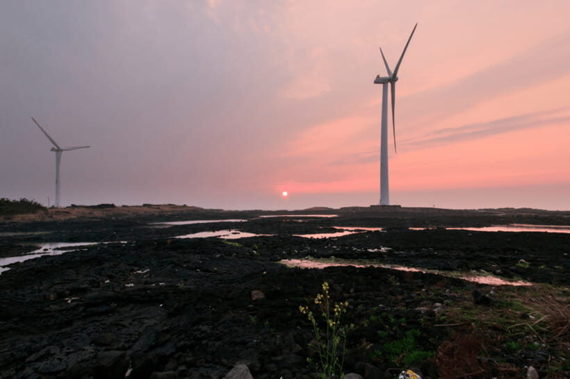 Jeju Sunset Tour : Olle Trail half day tour - What’s included in the $63 price—and what it means for value