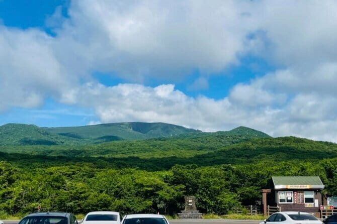 Jeju Western and Southern Routes Sightseeing Day Tour - Why this Jeju day tour feels efficient (and not exhausting)