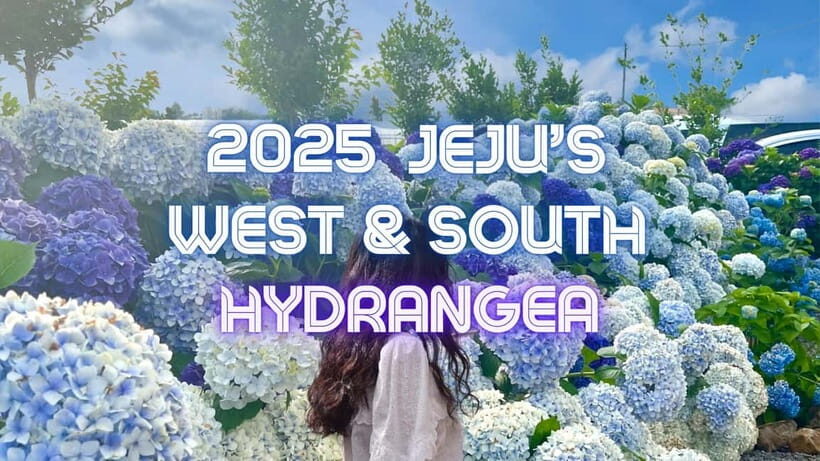 Jeju: Western & Southern Jeju Hydrangea Festival Tour - Hyeopjae Beach Photo Stop: Emerald Water and Basalt Drama