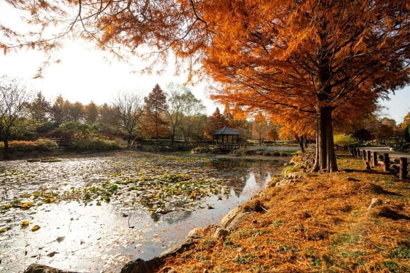 Jeonju: Private Taxi Tour Car Charter - Comfort rules: what the car setup means for your day