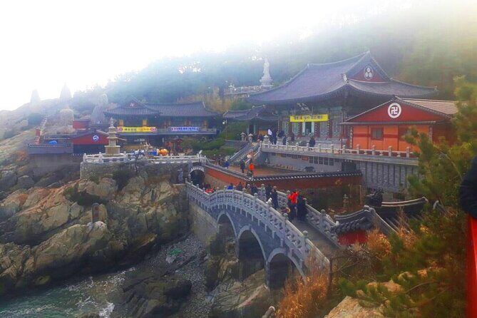 Jinhae Cherry Blossom + Busan Sunrise from Seoul - The Tour Pace: What It Feels Like With Up to 100 People