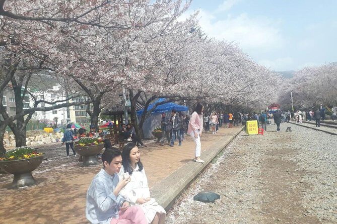 Jinhae Cherry Blossom + Busan Sunrise from Seoul - Getting Ready: Meeting, Drop-offs, and the Most Important Time Tip