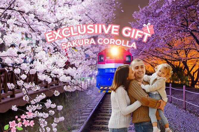 Jinhae's Cherry Blossoms Shuttle Bus depart from Seoul/Busan - The day rhythm: about 12 hours, with the best time focused