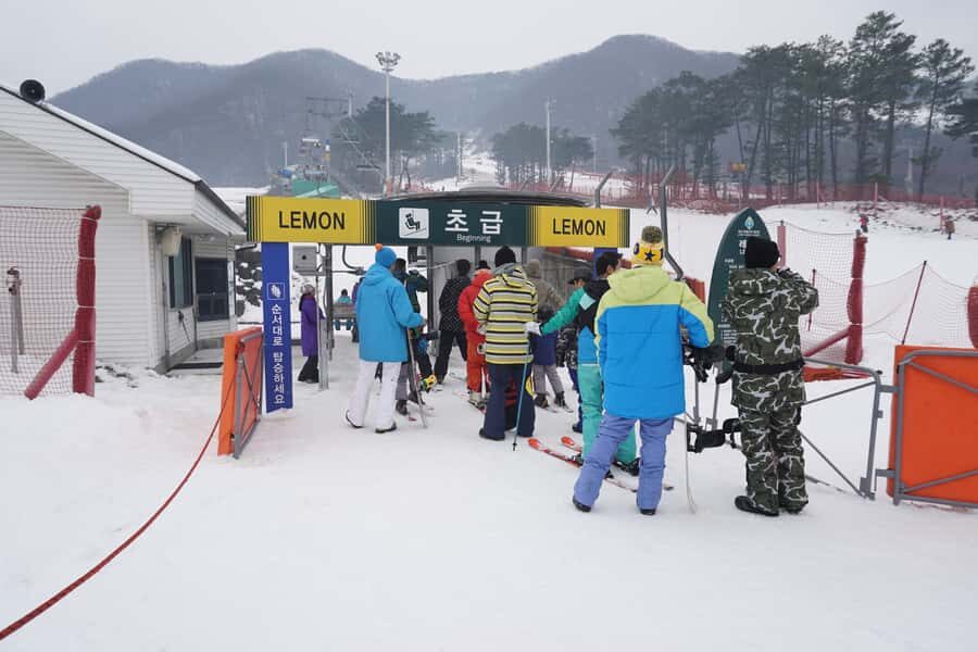 Jisan Forest Resort: Ski Full-Day Tour or Shuttle from Seoul - Your three options: Basic Ski Tour, Full Package, or Shuttle Only