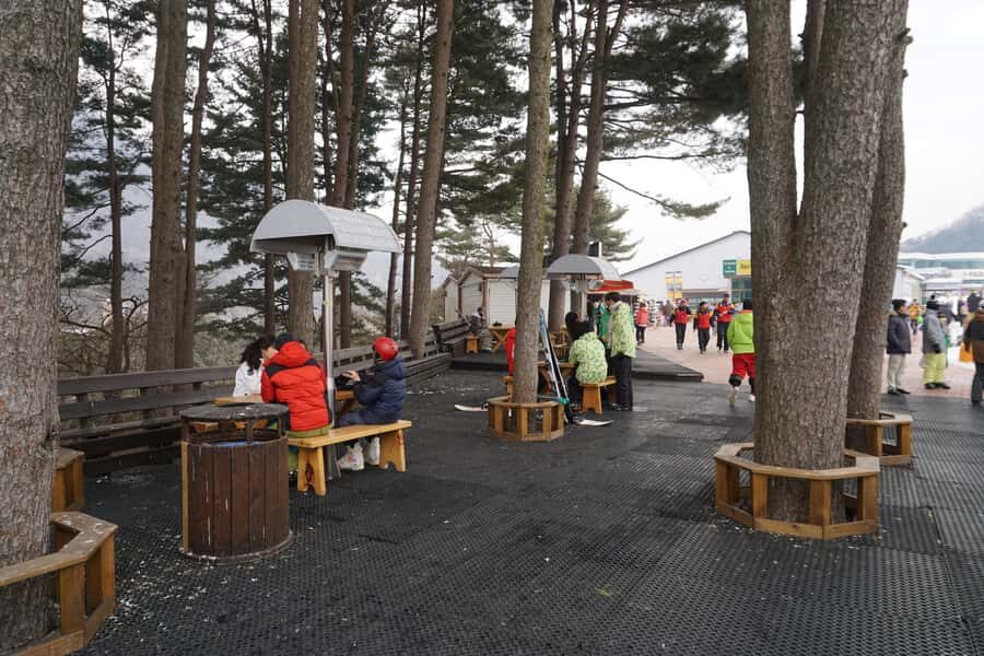 Jisan Forest Resort: Ski Full-Day Tour or Shuttle from Seoul - Who this ski trip fits best (and who should skip it)