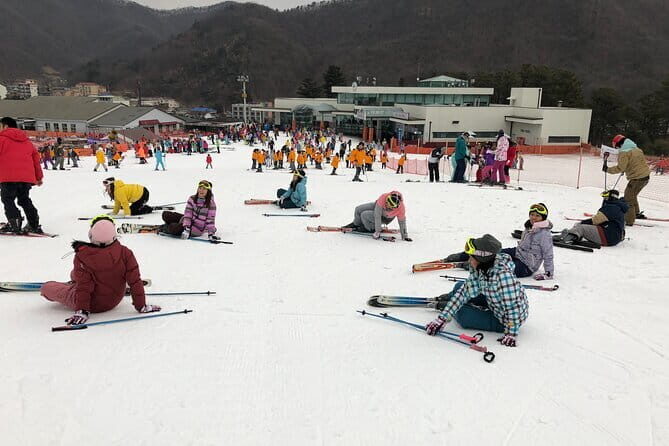 Jisan Forest Ski Resort and Everland 1 Day Tour - Everland time: rides, animals, and Panda World in winter
