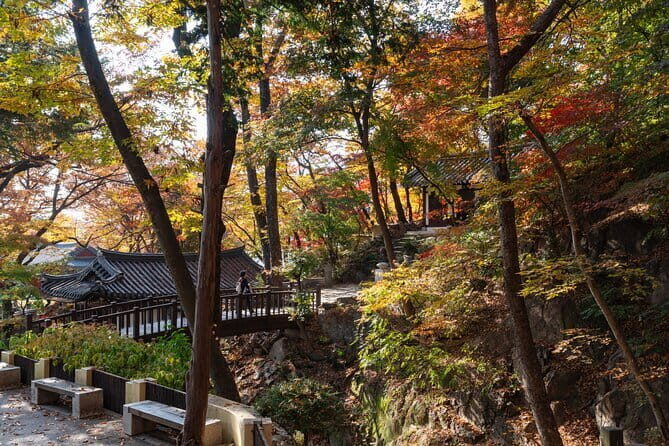 Jisan Forest Ski Resort and Everland 1 Day Tour - Sunkid MovingWalk: why it’s not just a feature