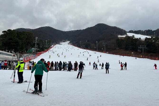 Jisan Forest Ski Resort and Everland 1 Day Tour - Value check: what you’re paying for at $58.83