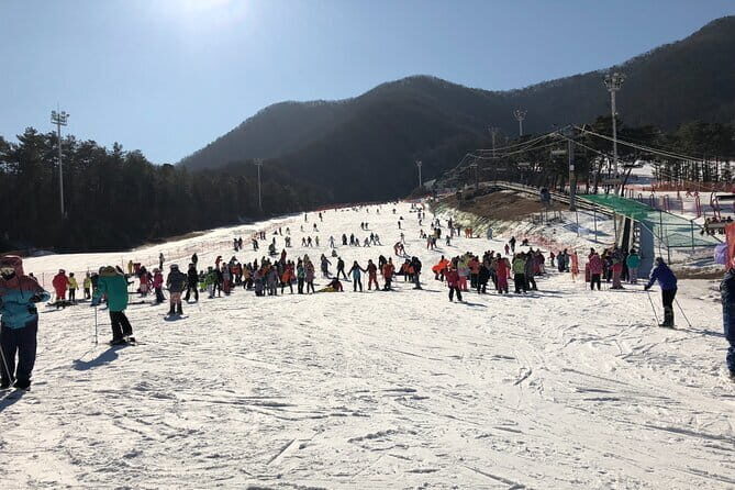 Jisan Forest Ski Resort and Everland 1 Day Tour - How the 11 to 12 hour day really works