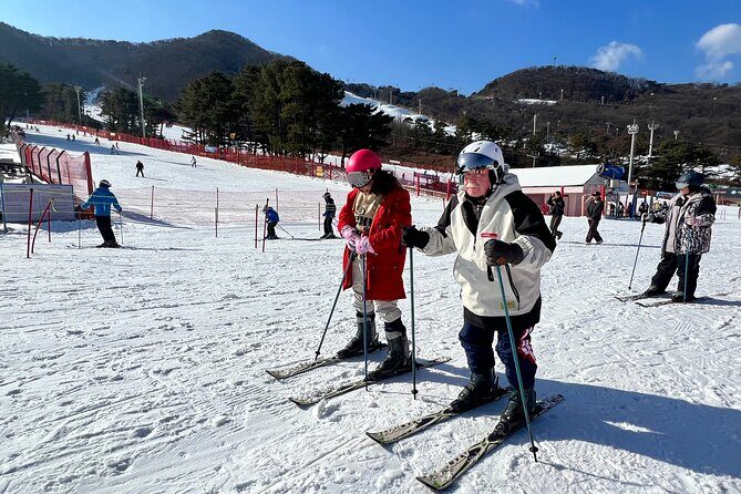 Jisan Ski Resort from Seoul by Shuttle(Opt Winter Skiing Package) - The Cheongha Plus stop: a short detour on the way back