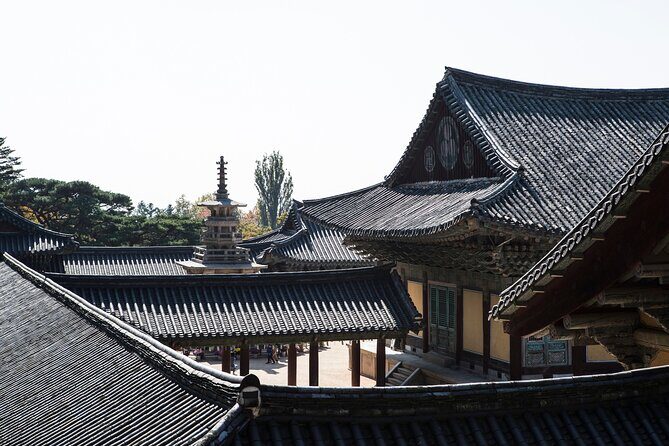 Korail Day Trip to Gyeongju's Unesco World Heritage Sites from Seoul - KTX to Gyeongju: the smooth start from Seoul