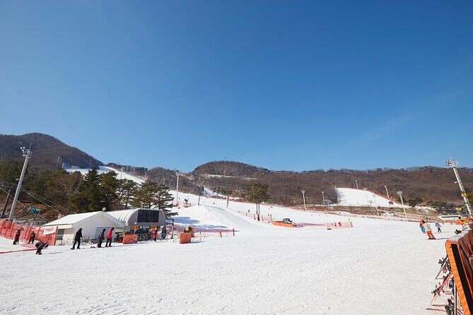 Korea Ski Tour from Seoul - Jisan Resort with Isaac Toast - Guide quality: what to watch for on ski instruction days