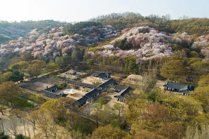 Korean Folk Village Afternoon Half day Tour - Who This Tour Fits Best (and Who Might Feel It’s Too Short)