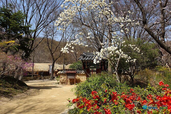 Korean Folk Village Half-day Guided Tour from Seoul - Folk music, dance, and jultagi acrobatics when weather cooperates