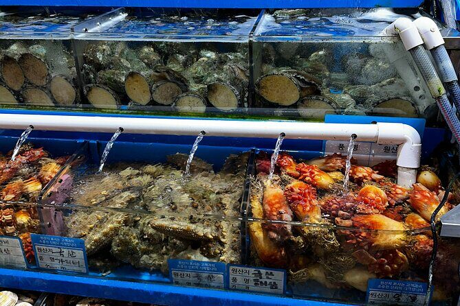 Korean Market Adventure with Chef Yie - Noryangjin Fish market - Crab Add-On: How to Handle the Optional Upgrade Without Guesswork