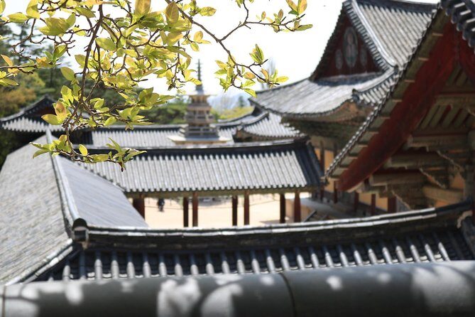 Korean UNESCO World Heritage Tour including Gyeongju, Andong and Daegu(2N3D) - Private vehicle and your guide: how the “no hassle” part really plays out