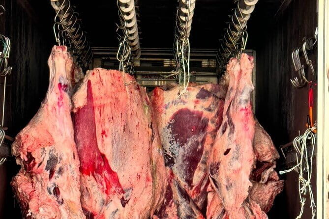 Majang Meat Market Experience: Private Tour with Han-woo Beef BBQ - From Yongdu Station to Inteokan: Meeting Points and Evening Timing