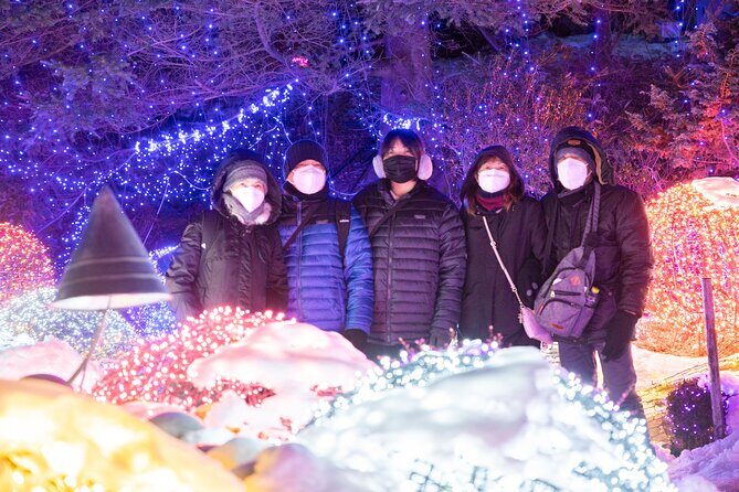 Make Your Trip Around Nami Island With an Expert(DSLR option) - Custom itinerary options: strawberry picking, skiing, and Alpaca World
