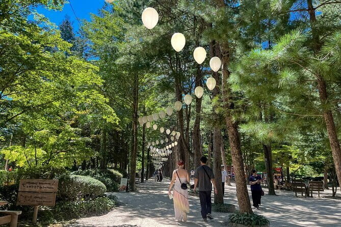 Max Out Seoul: Must Visit City Highlights Panoramic Day Tour - Insadong: crafts, tea houses, and pedestrian-street vibes