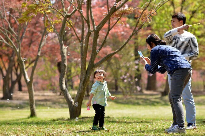 Nami Island and Petite France & Italian Village Day Trip from Seoul - Stop 3: Nami Island’s Tree-Lined Roads and Best-Use of Your Time