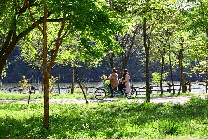 Nami Island and Petite France & Italian Village Day Trip from Seoul - Weather and Traffic: The Schedule Can Flex