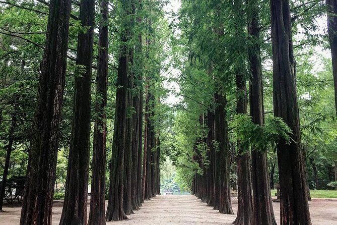 Nami Island & Nearby Attractions : Charter Van Tour With Driver - Stop 3: Garden of Morning Calm and the December-to-March Light Show