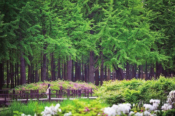 Nami Island & Petite France with Italian Village One-Day Tour - A One-Day Break From Seoul: Why These Two Stops Work Together