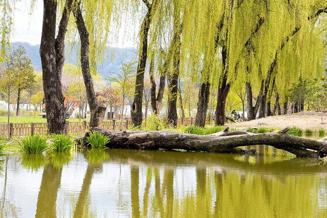 Nami Island & Petite France with Italian Village One-Day Tour - Tour Guide Quality: When It Feels Like a Real Day With Help