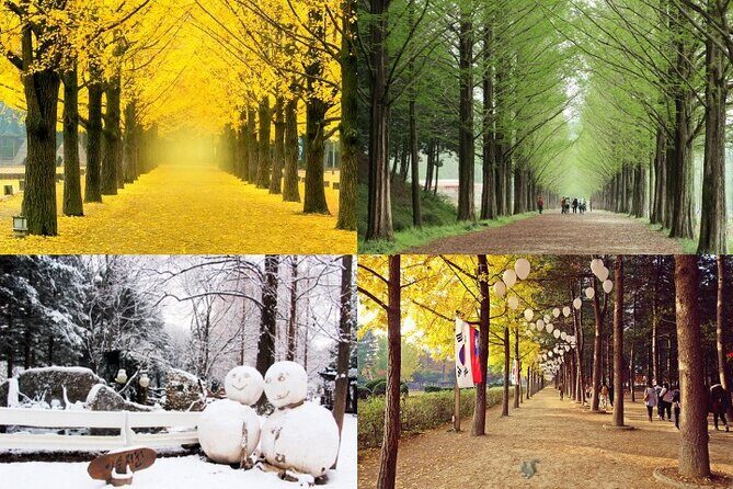 Nami Island & Petite France with Italian Village One-Day Tour - Meeting at Hongik Univ. Station and the Group-Size Comfort