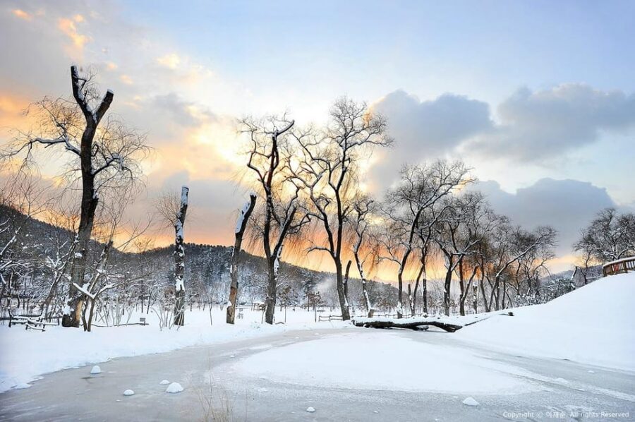 Nami Island, Railbike & Alpaca Garden Day Trip from Seoul - Should you book this Nami Island, Railbike & Alpaca Garden day trip?