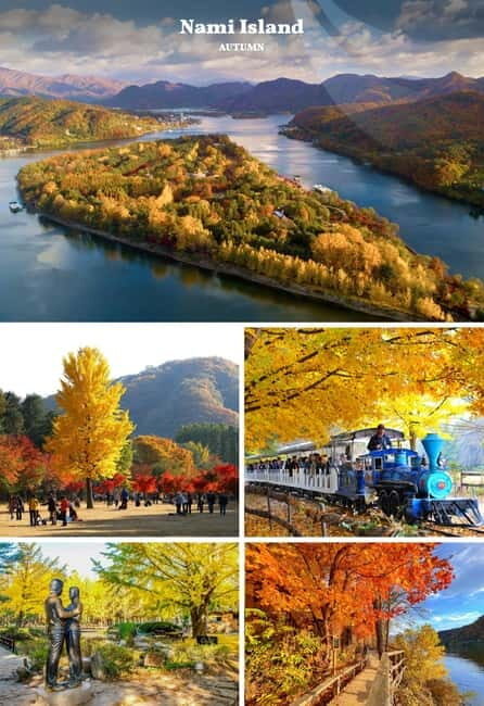 Nami Island, Railbike & Alpaca Garden Day Trip from Seoul - Logistics that matter: guide support, timing, and comfort