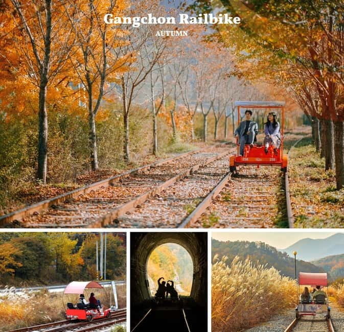 Nami Island, Railbike & Alpaca Garden Day Trip from Seoul - Entering Nami Island in autumn: tree lanes, ginkgo, and Winter Sonata vibes