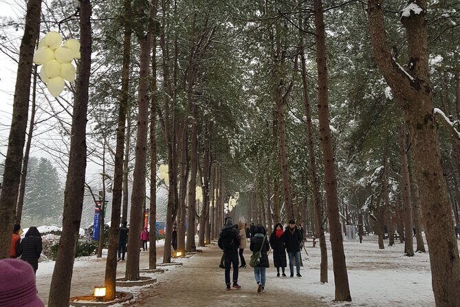 Nami Island + Ski Tour - What to expect during ski time (and what can slow you down)