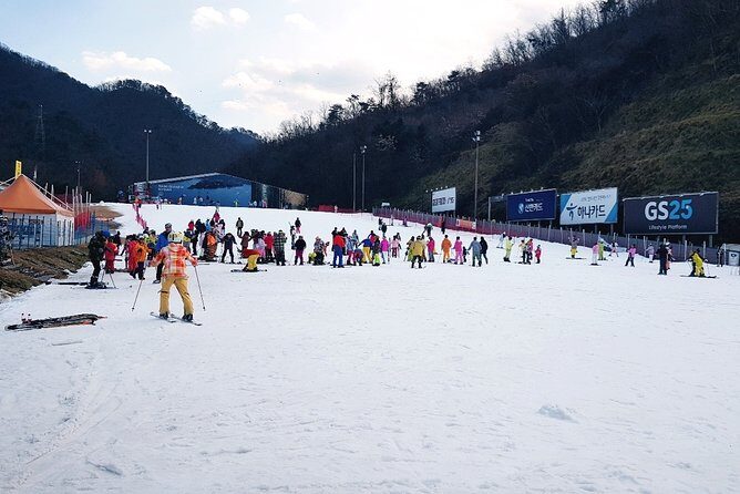 Nami Island + Ski Tour - Morning pickup rhythm: how you get to the slopes without stress