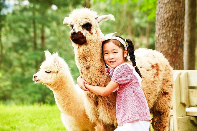 Nami+Alpaca+Garden of Morning Calm (+Rail Bike Option) - Nami Island: Half-Moon Views, Ferry Ride, and the General Nami Story