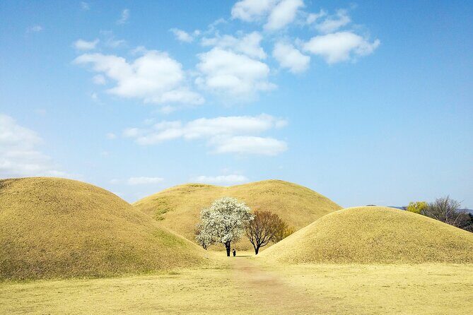 Old Korea Thousand History Tour of Gyeongju from Busan - Daereungwon Tomb Complex: Royal Scale, But Set Your Expectations