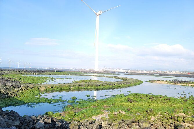 One day private Customized jeju tour - All Area in jeju island - O’sulloc Tea Museum: the calm pause in Seogwang tea country