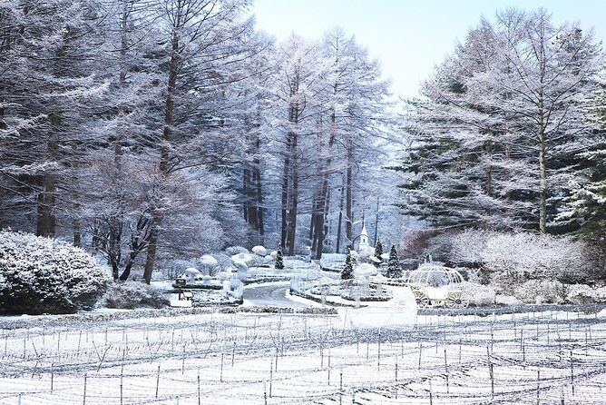 One Day Private Tour-Nami, Petite and Garden of Morning Calm - Your English Guide (Bergen Park) and Why It Matters